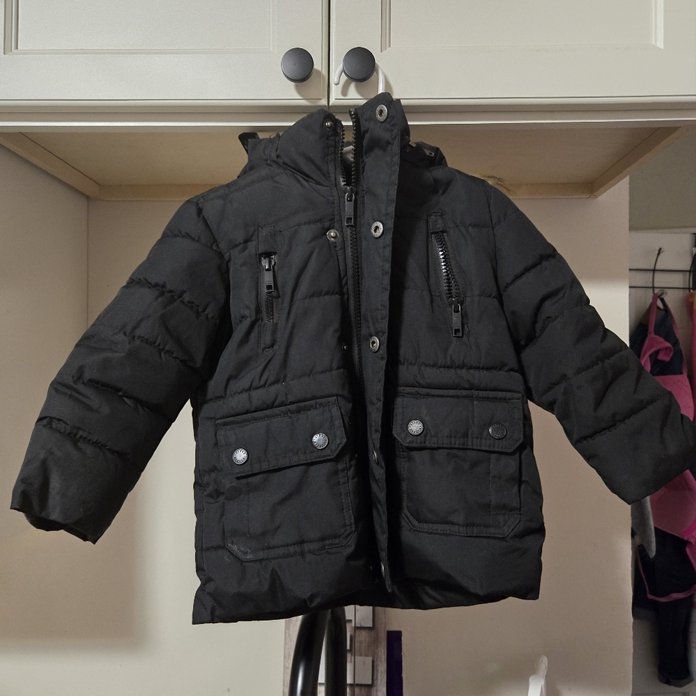Steve Madden Winter Coat